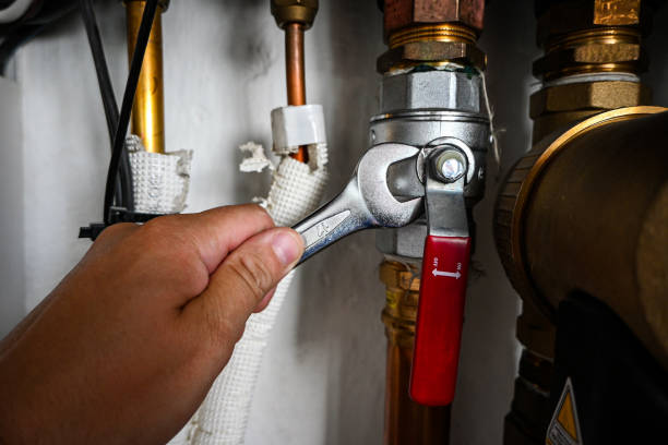 Best Clogged Drain Plumber  in Madison, IN